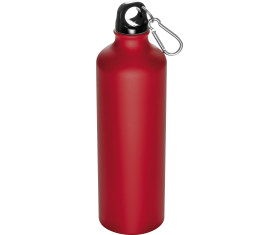 800 ml drinking bottle with snap hook